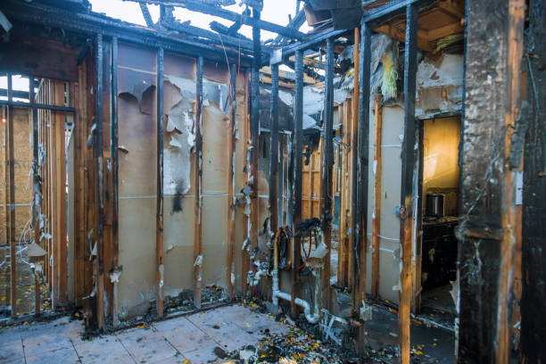 Professional Smoke Damage Removal technician working in Deerfield, IL